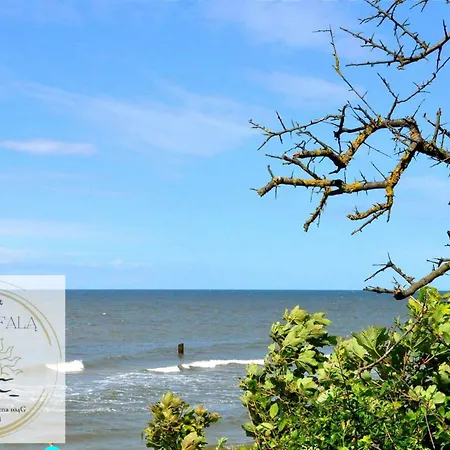 Fala Za Fala * Gąski