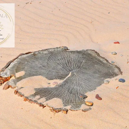 公寓 Fala Za Fala *