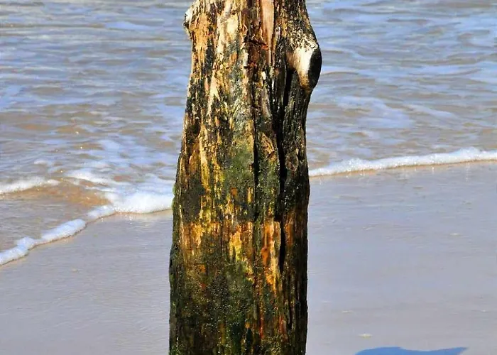 Fala Za Falą Apartament *