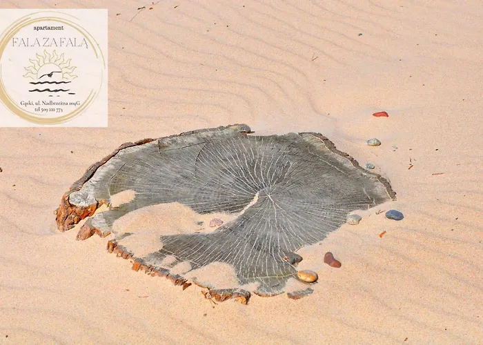 Apartament Fala Za Falą *